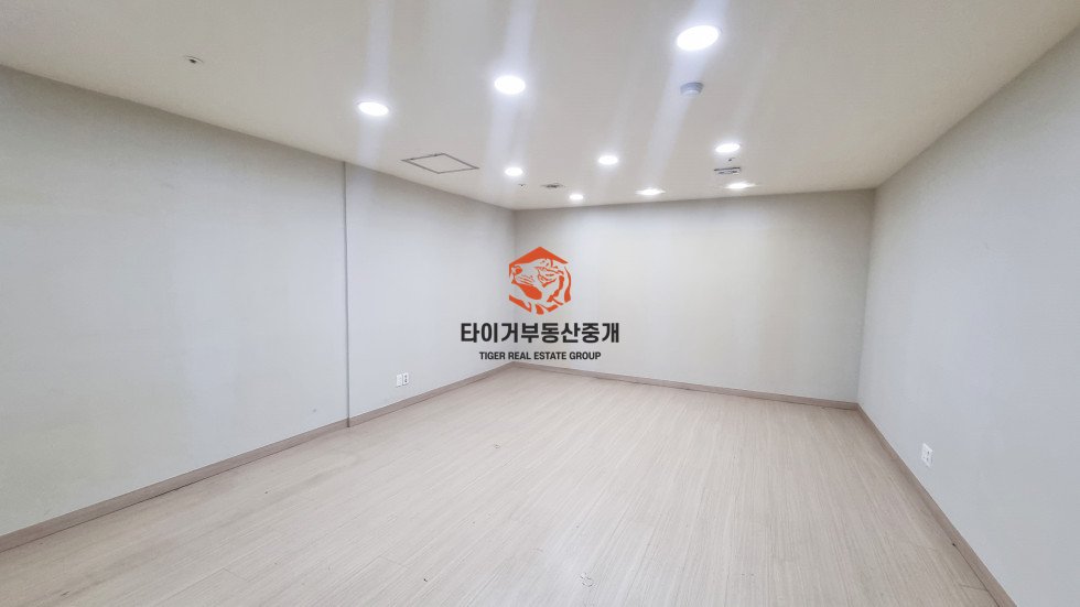 사진 6