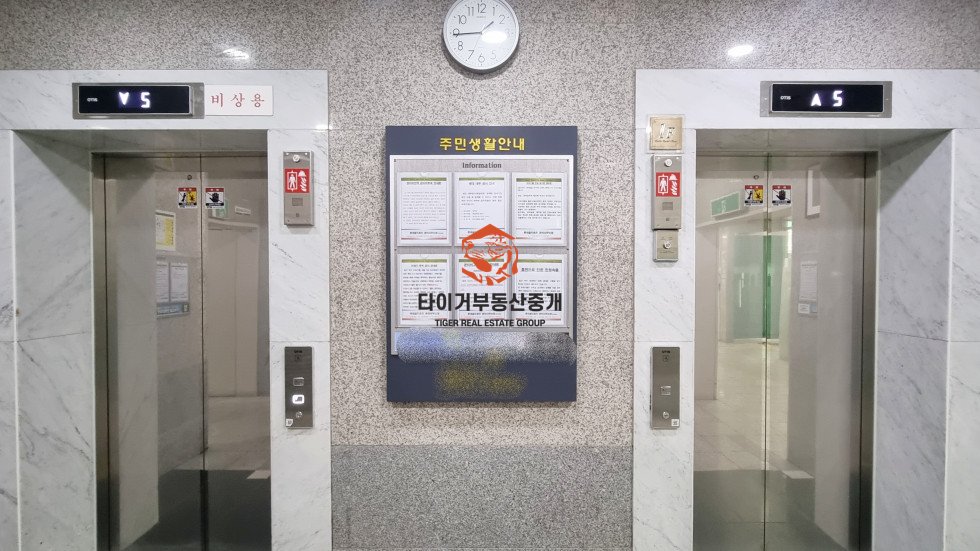 사진 10