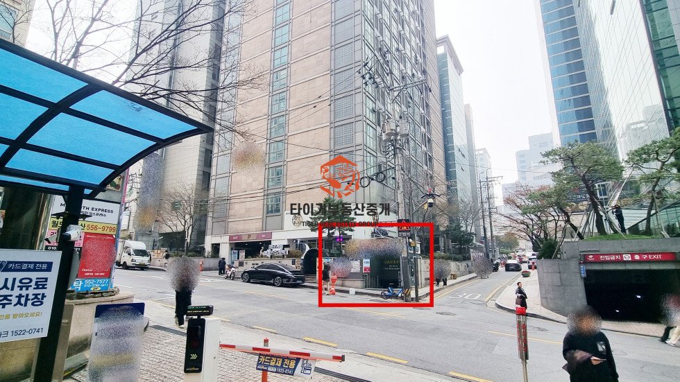 사진 12