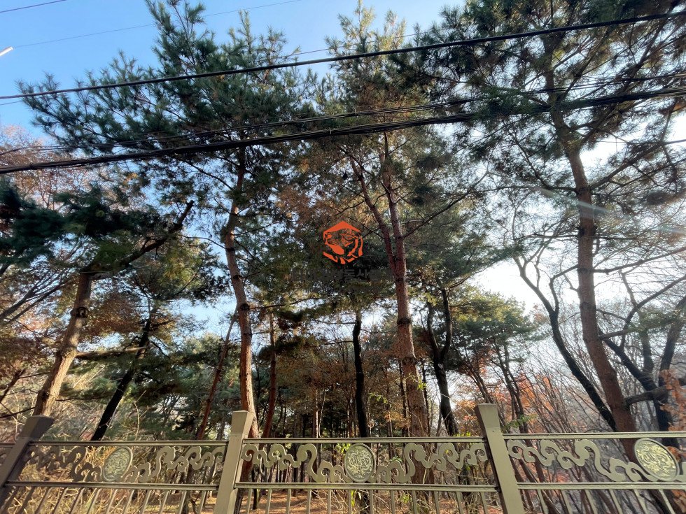 사진 2