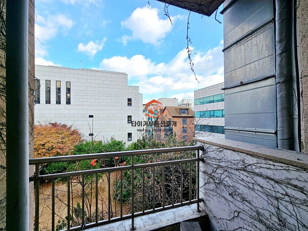 사진 17