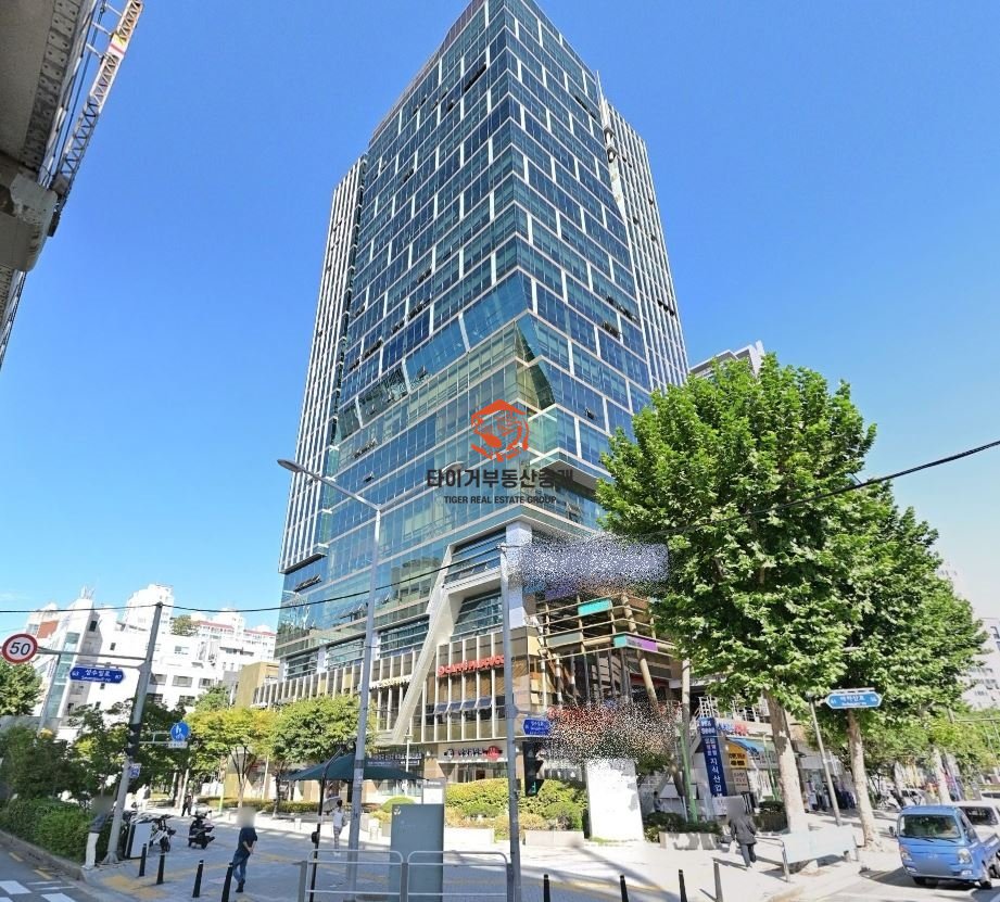 사진 6