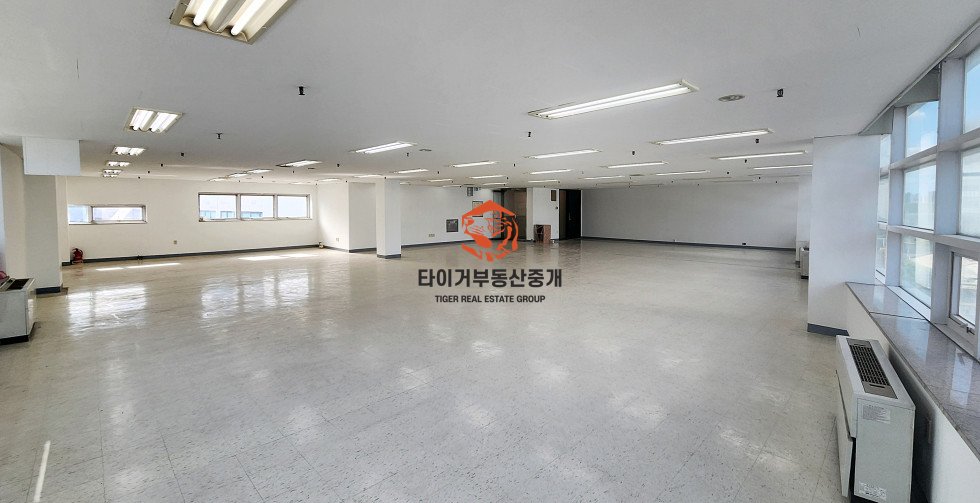 사진 5