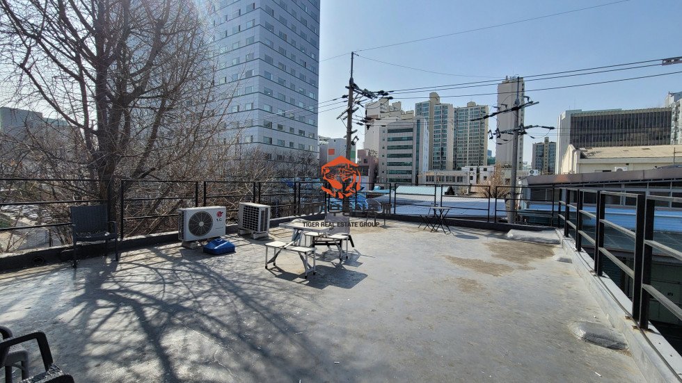 사진 6