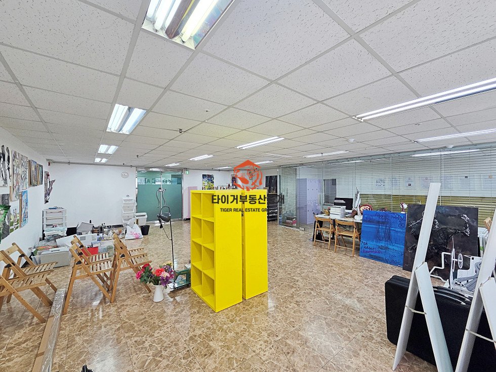 사진 5