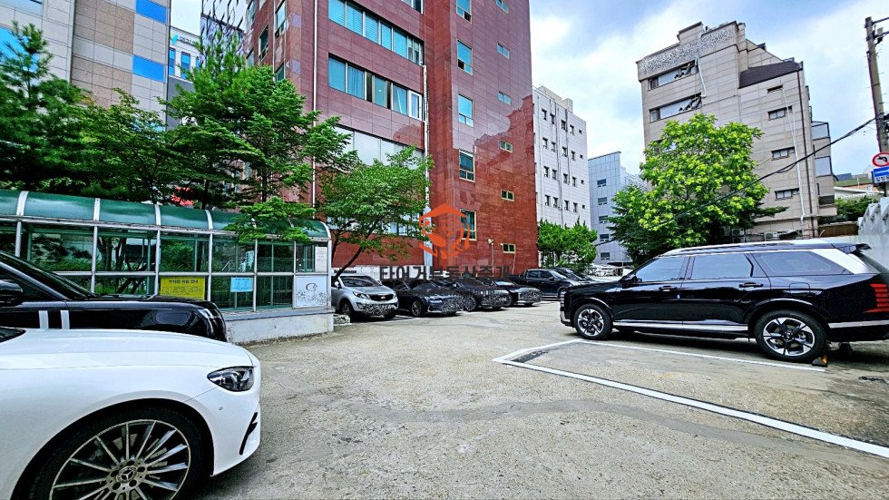 사진 10