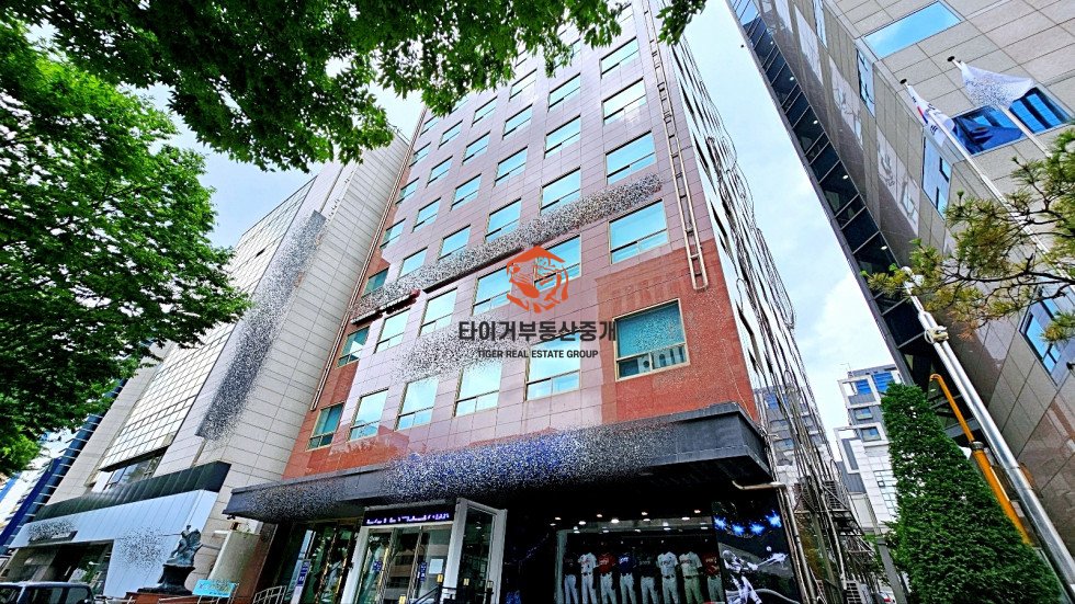사진 13