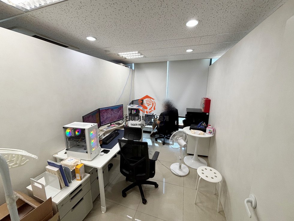 사진 5
