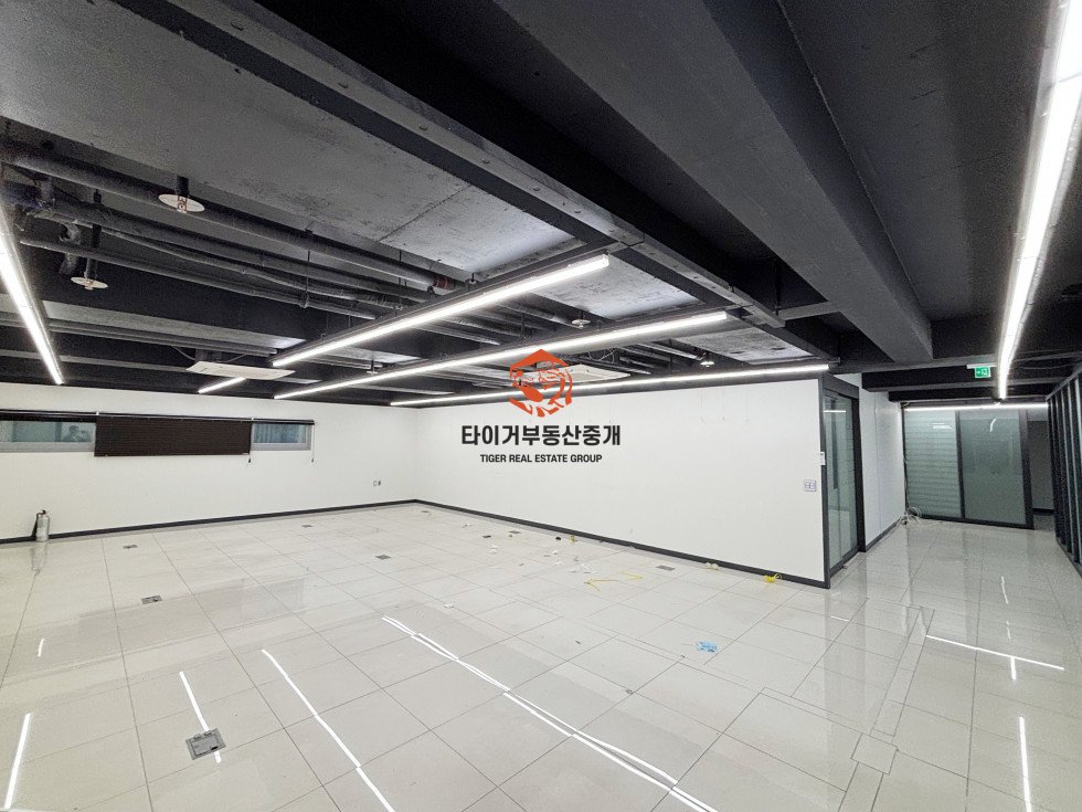 사진 11