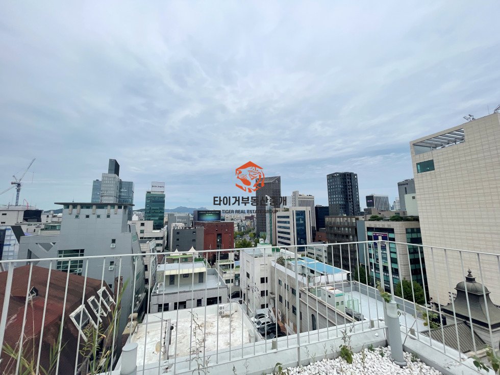 사진 3