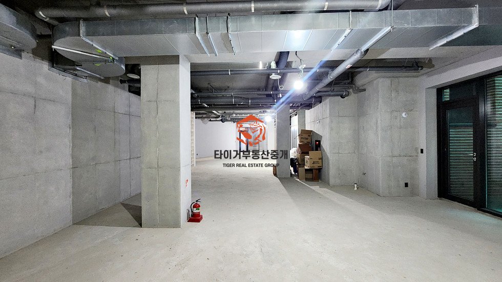 사진 6