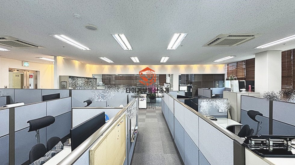 사진 6