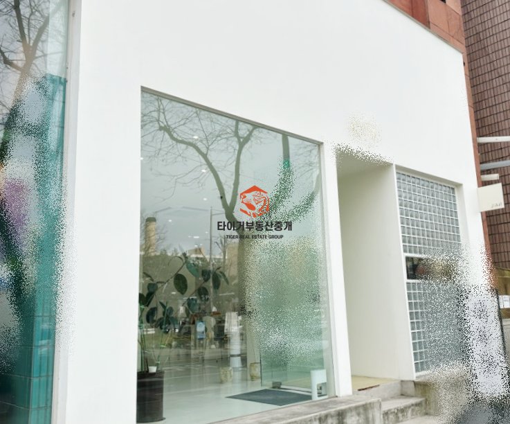사진 5
