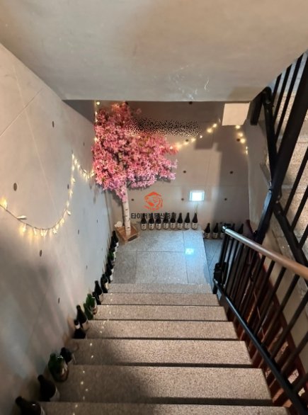 사진 12