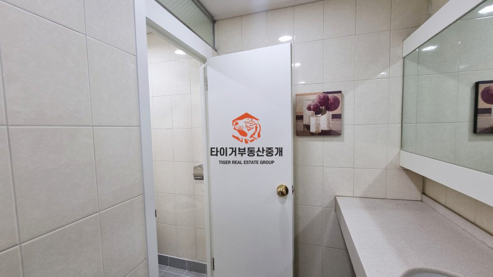 사진 11