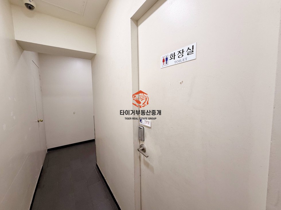 사진 12