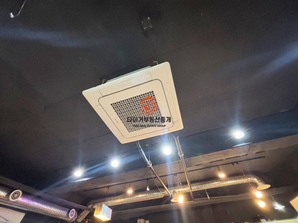 사진 12