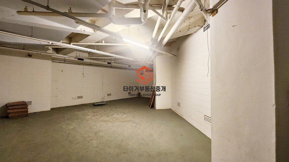 사진 5