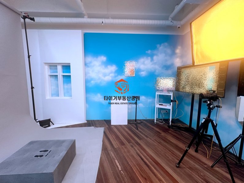 사진 8