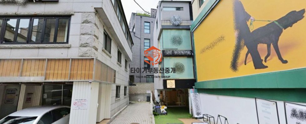 신사동