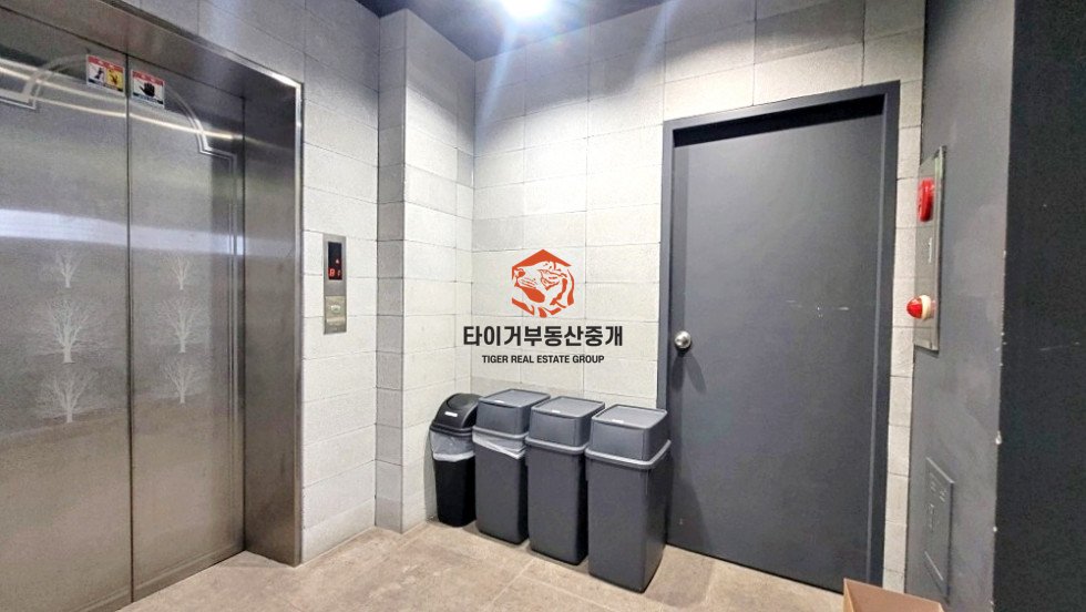 사진 12