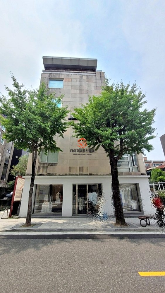 사진 19