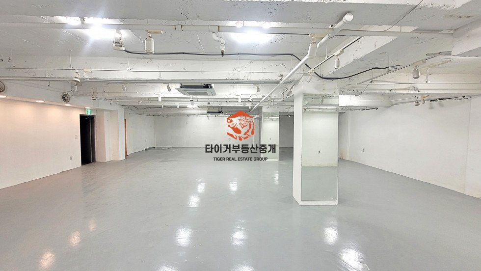 신사동
