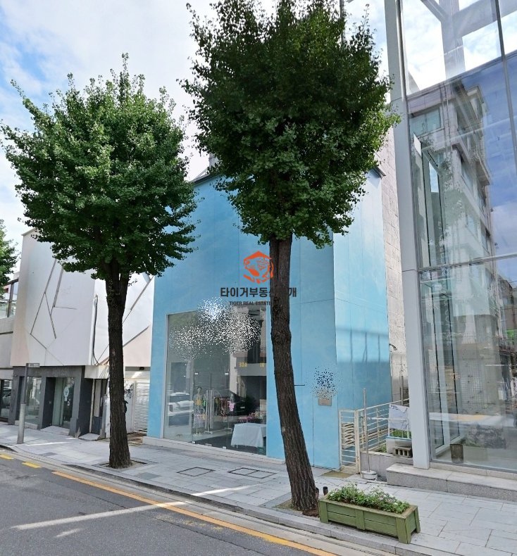 신사동