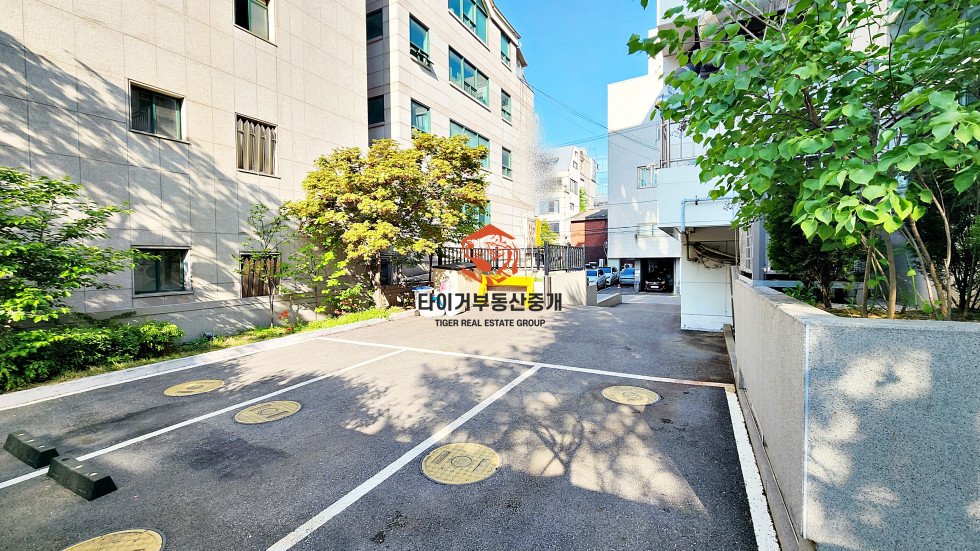사진 6