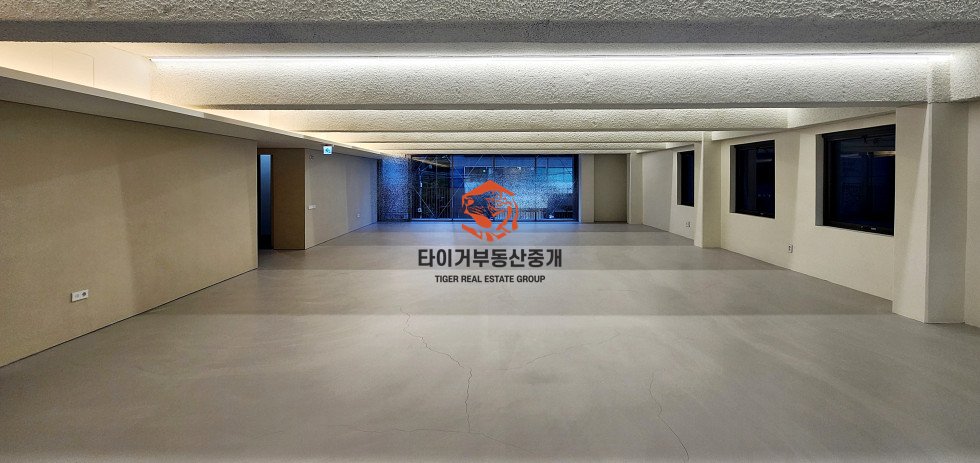 신사동