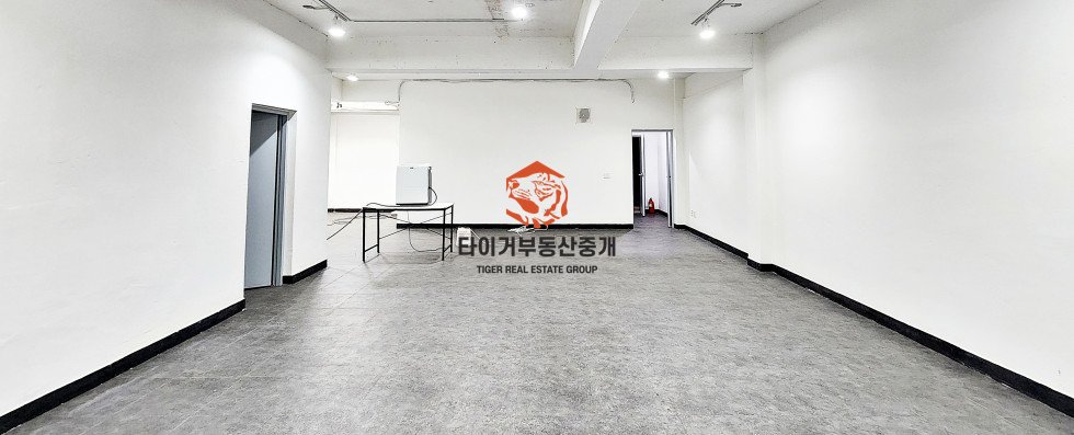 신사동