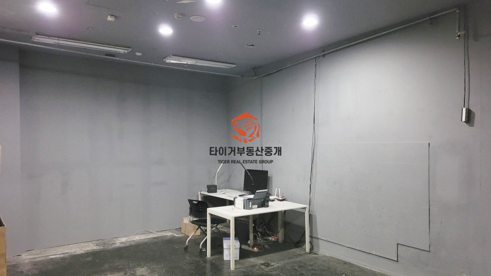 사진 6