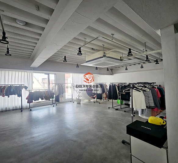 사진 5