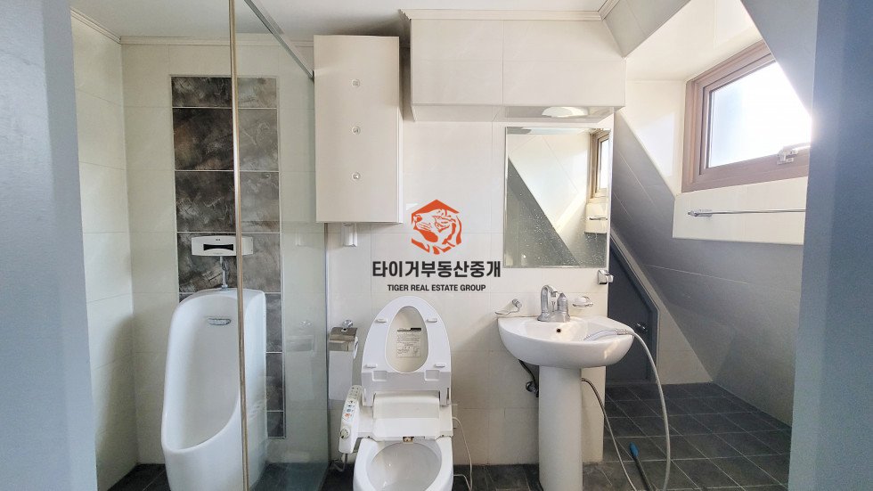 사진 5