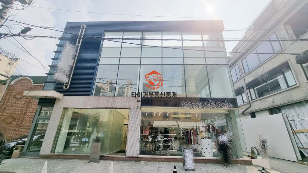 신사동