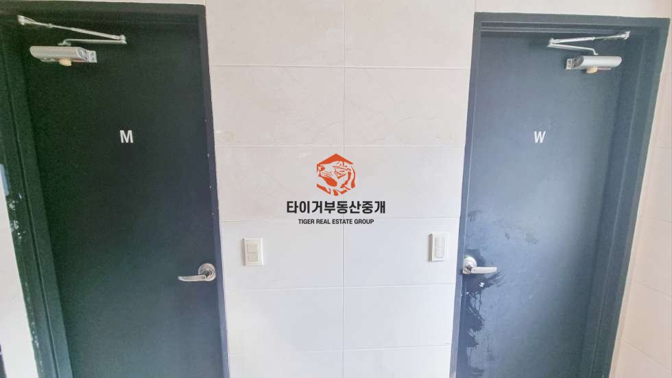 사진 5