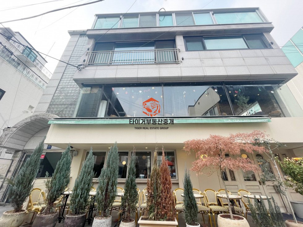 사진 12