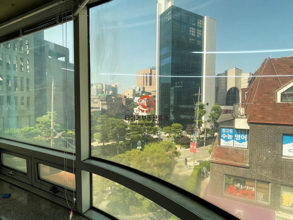 사진 11