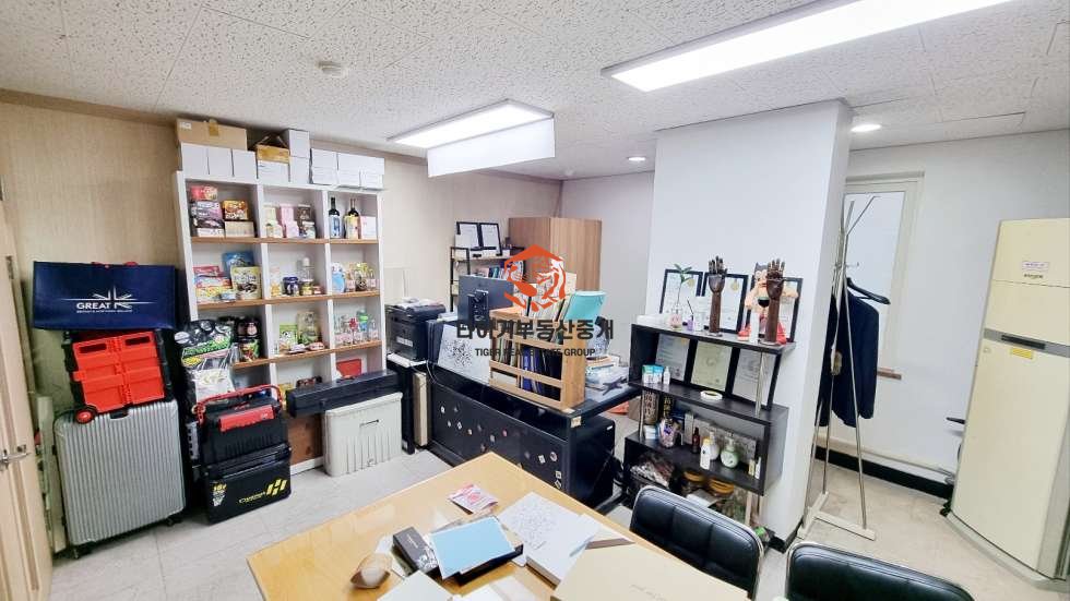 사진 6