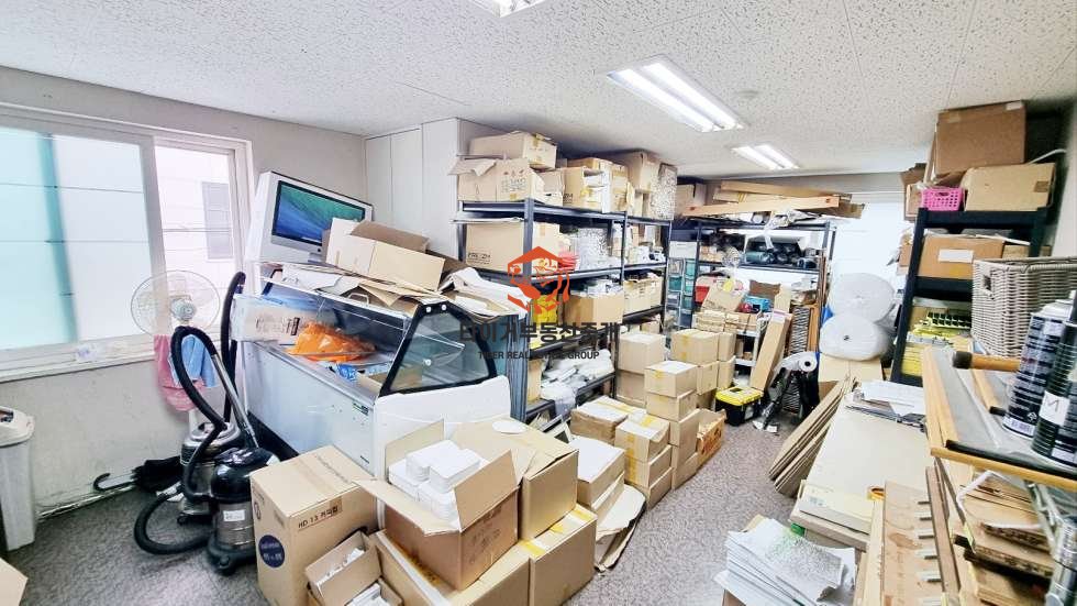 사진 12