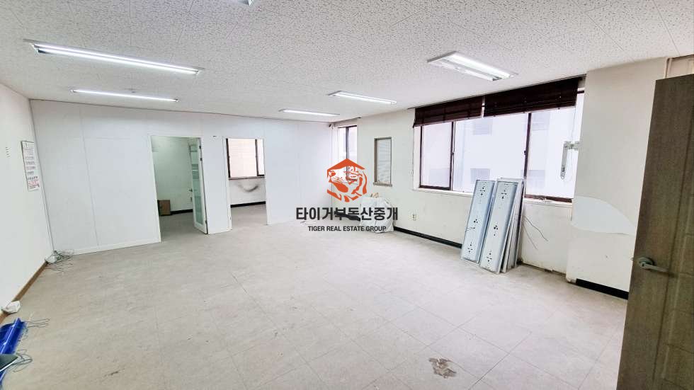 신사동