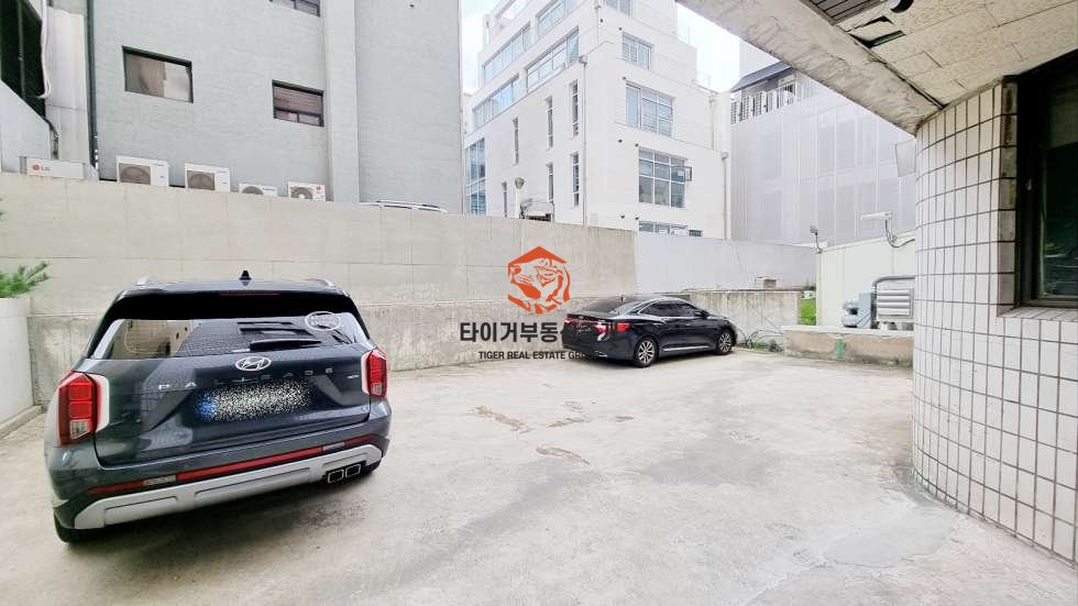 사진 12