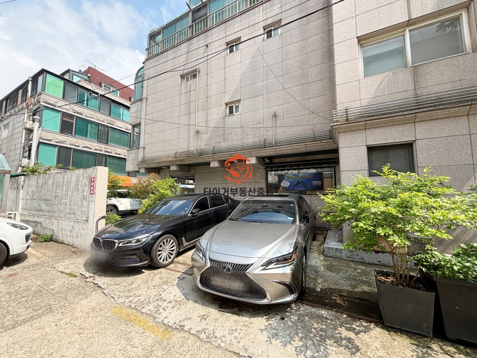 사진 13