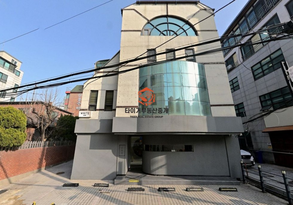 신사동