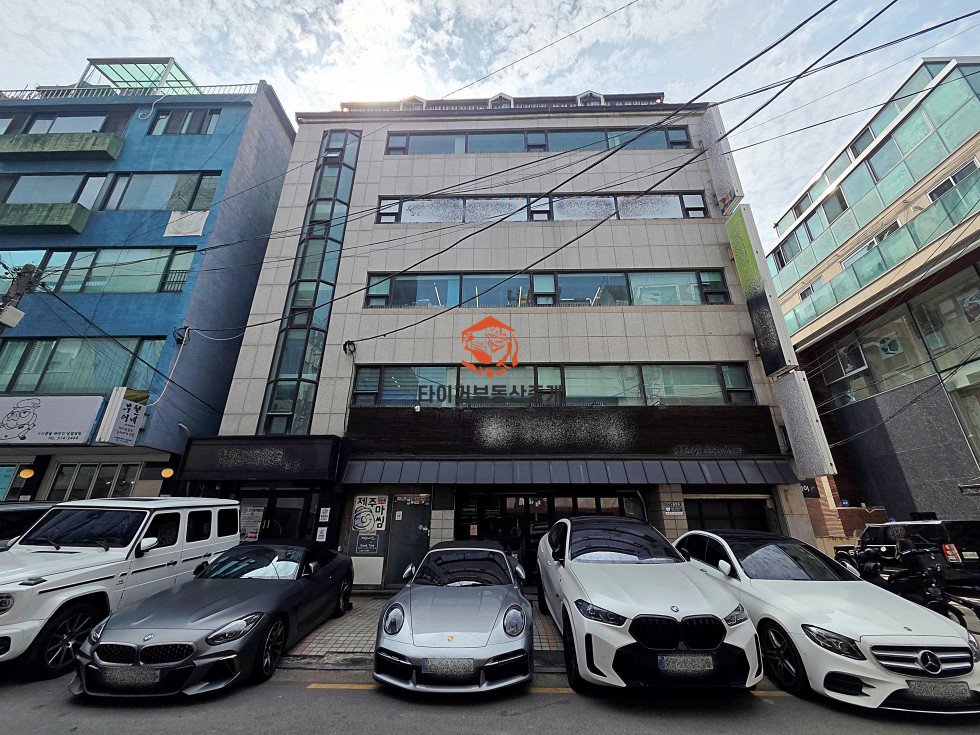 사진 12