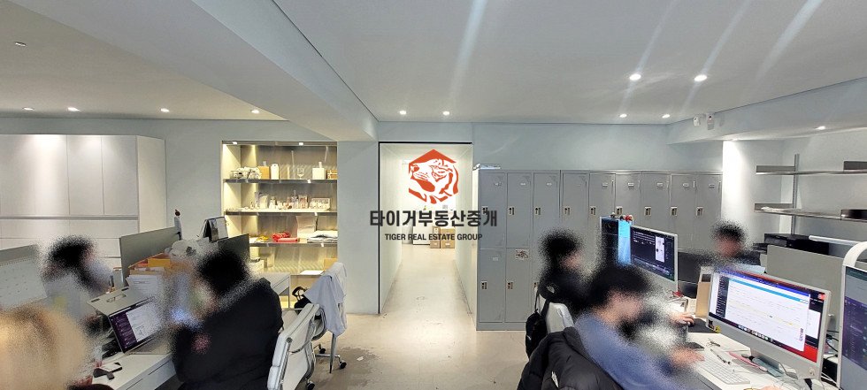 사진 5