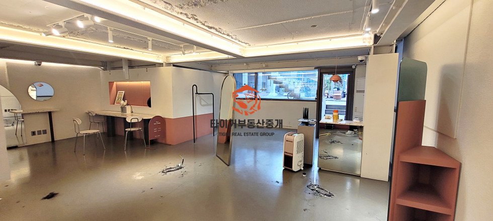 신사동
