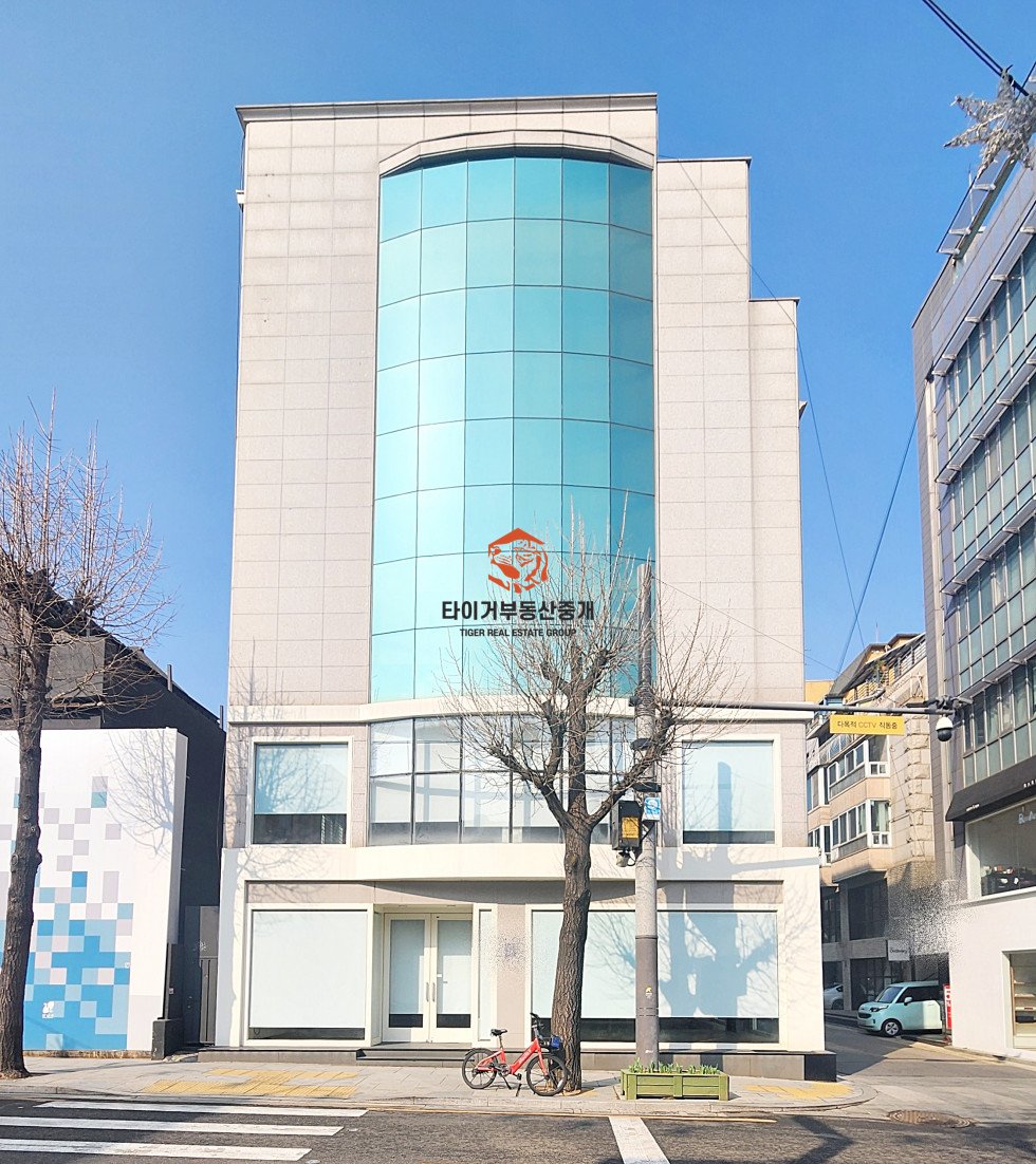 신사동