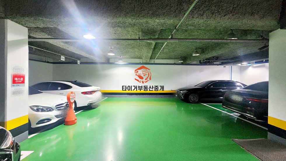 사진 11