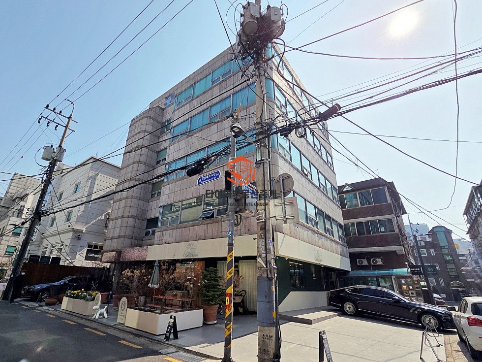 사진 12